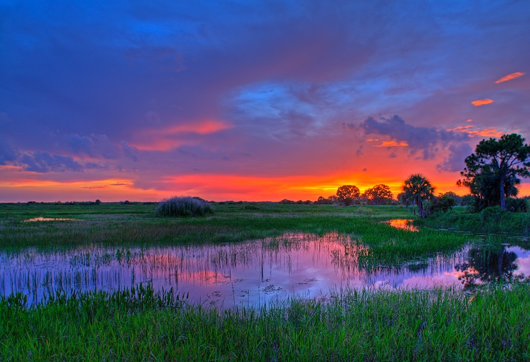 Discover Perfect Florida State Parks